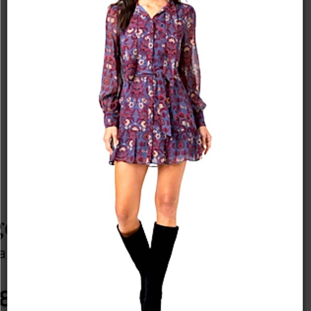 NWT Vittoria Floral silk dress size small - Paige